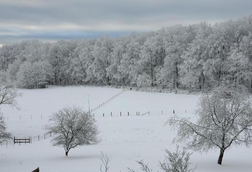 酒店 Landgasthof Steuber