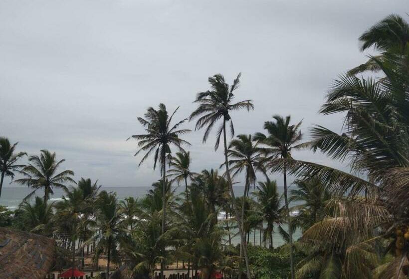 膳宿费 Beach Inns Holiday Resort   Celeste