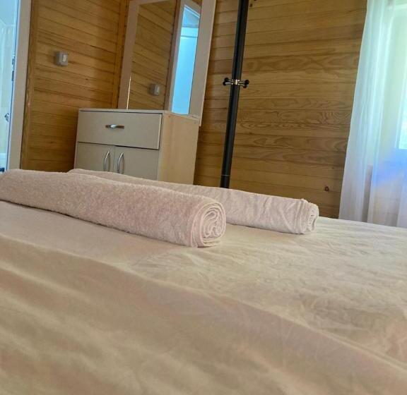 Пансион Bujtina Arturi