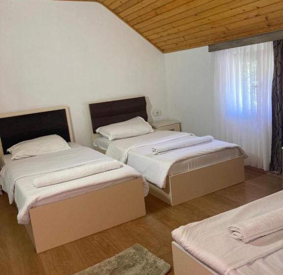 Пансион Bujtina Arturi