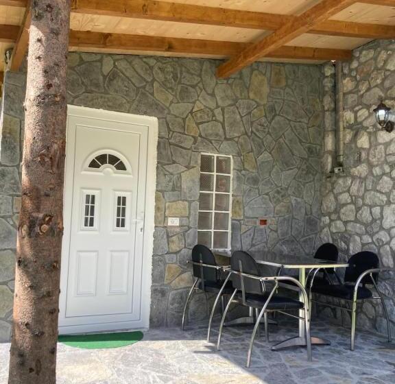 Пансион Bujtina Arturi