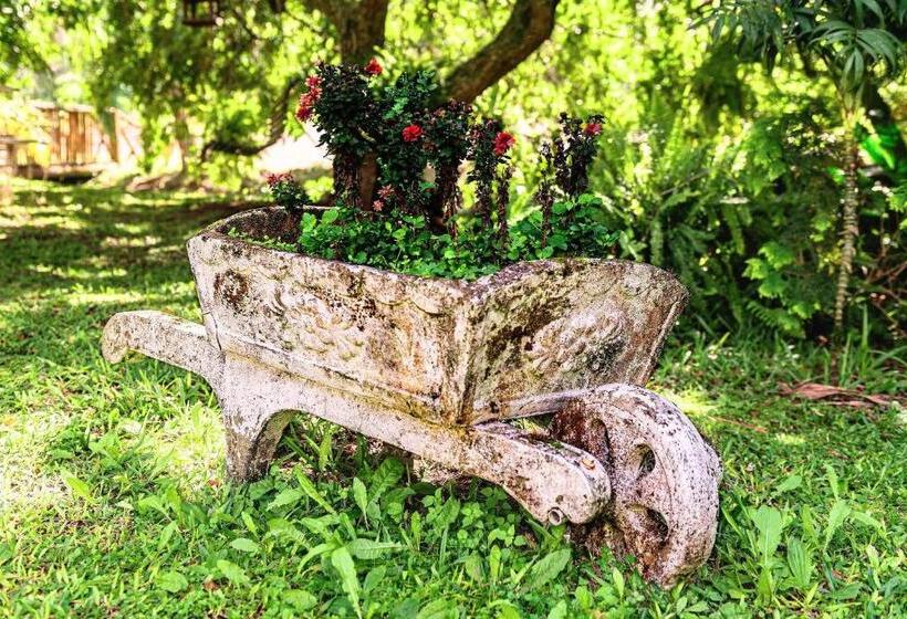 膳宿费 Casarão Biazolli