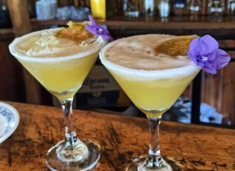 بنسيون Duck House Hostel / La Vega