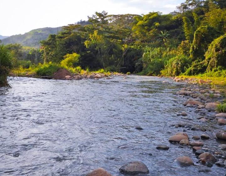 بنسيون Duck House Hostel / La Vega