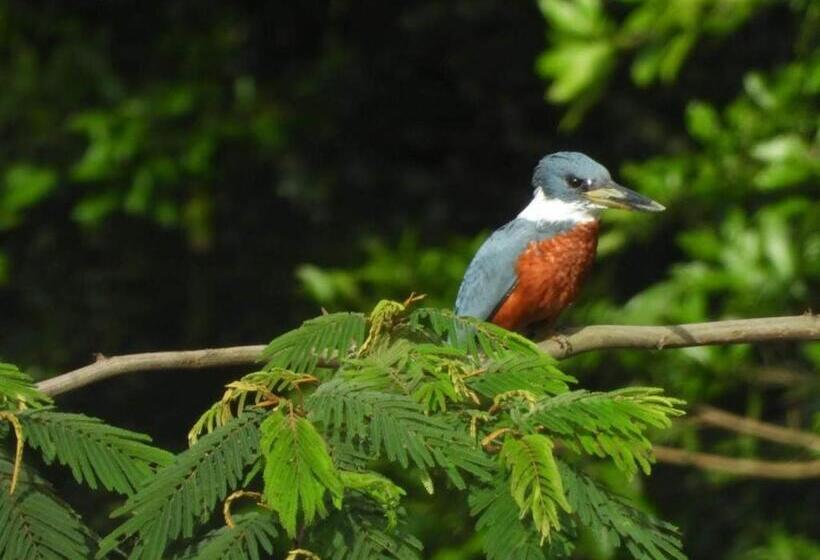 بنسيون Duck House Hostel / La Vega