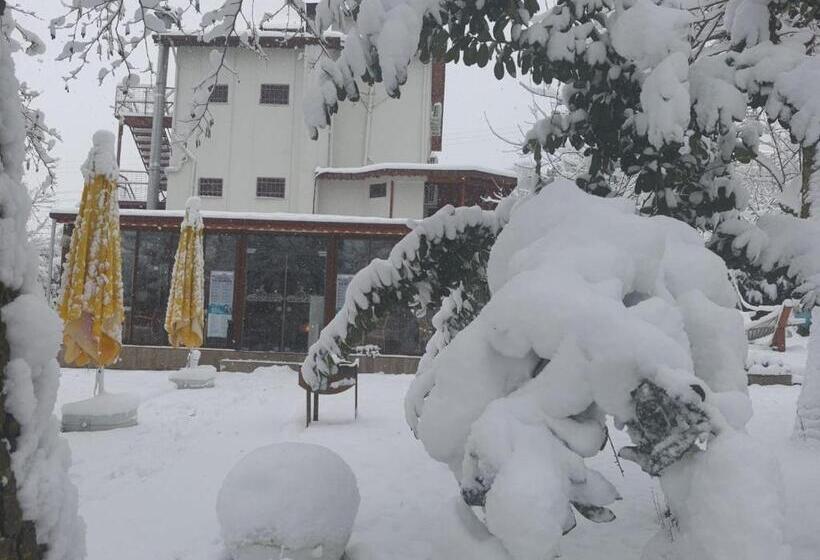 Beyazev Buti̇k Otel Maşuki̇ye