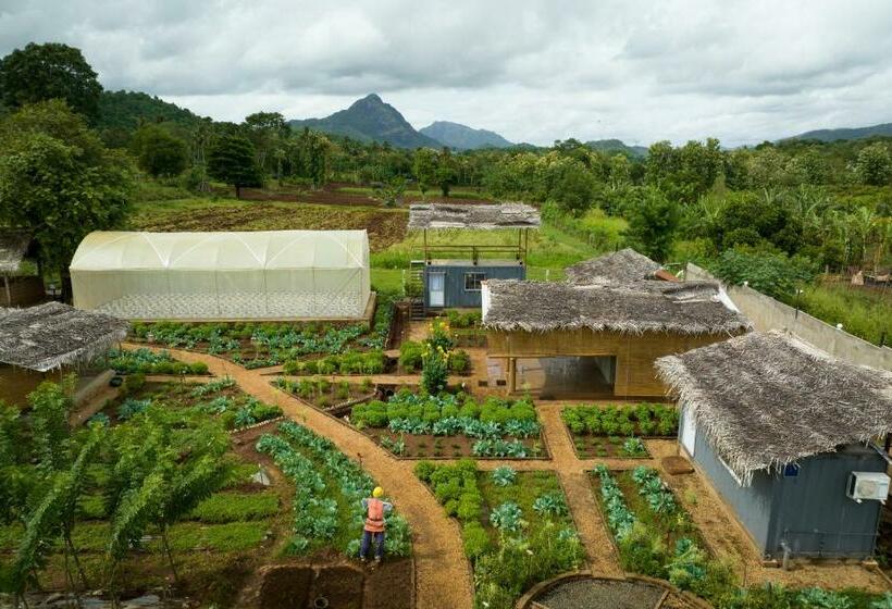 ホテル Cozy Farm Stay