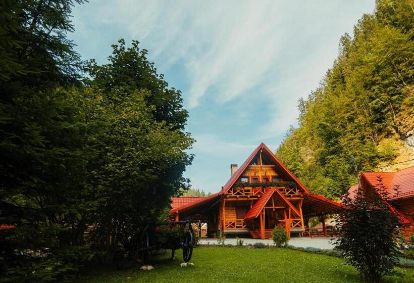 Пансион Casa Cheile Dâmbovicioarei   Cabana 1