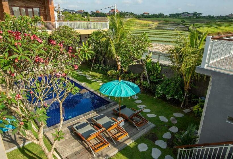 ペンション Frangipani House And Spa By Ecommerceloka