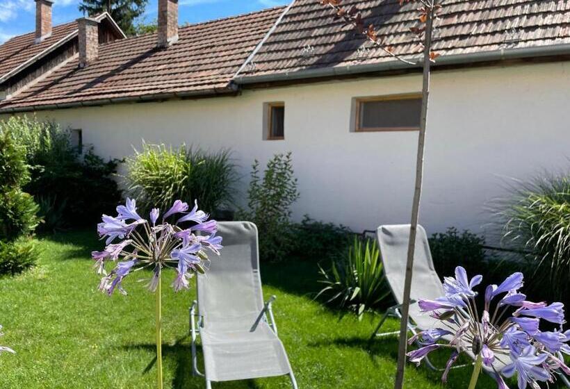 بنسيون Kis Duna Vendégház