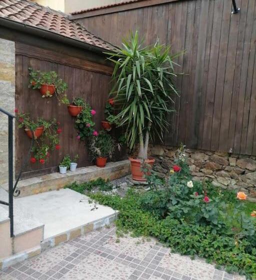 بنسيون Lucky 2