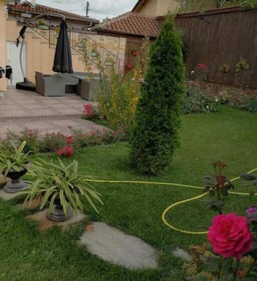 بنسيون Lucky 2