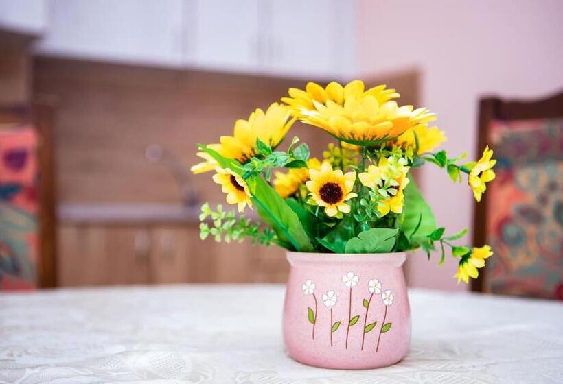 بنسيون Lucky 2