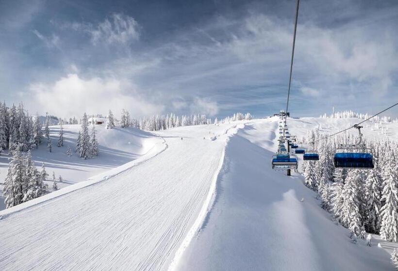 Alpenparks Chalet & Apartment Steve Lodge Viehhofen