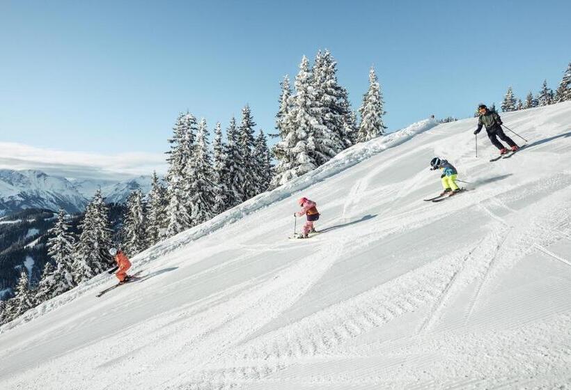 Alpenparks Chalet & Apartment Steve Lodge Viehhofen