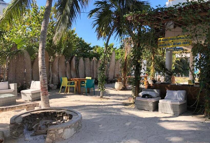 هتل Boutique Can Cocal El Cuyo