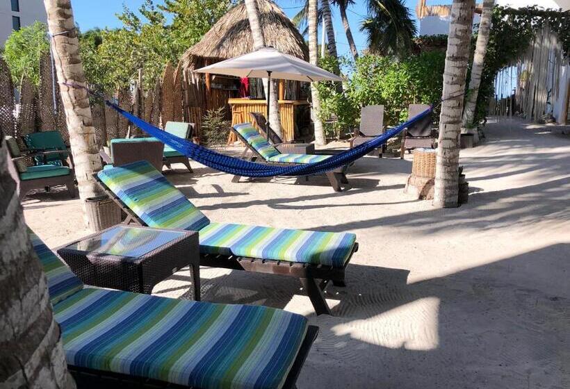 هتل Boutique Can Cocal El Cuyo