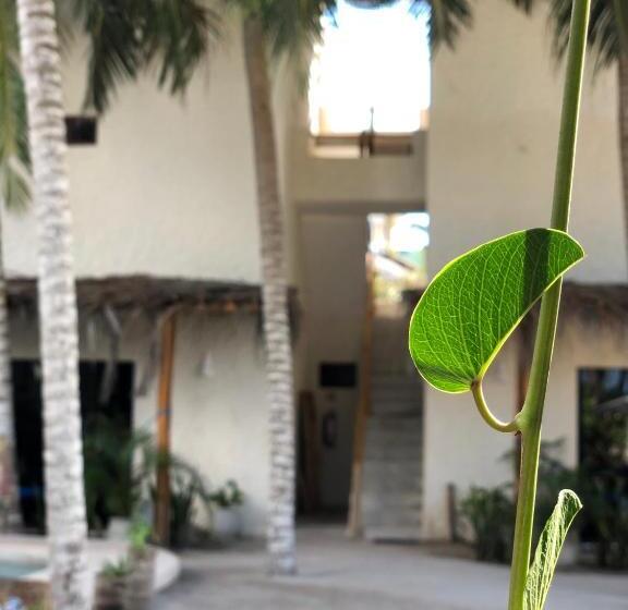 هتل Boutique Can Cocal El Cuyo