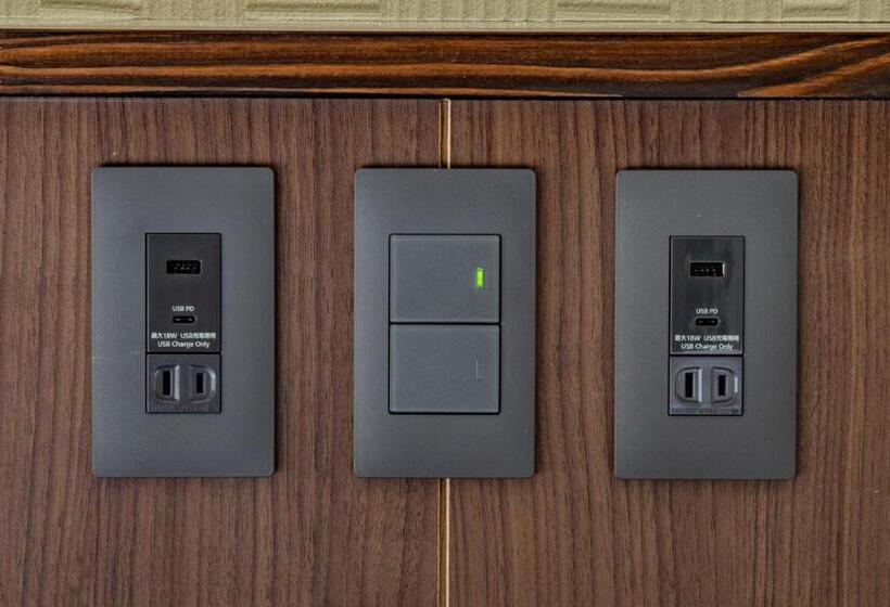 בית מלון כפרי Curio Shirakawago