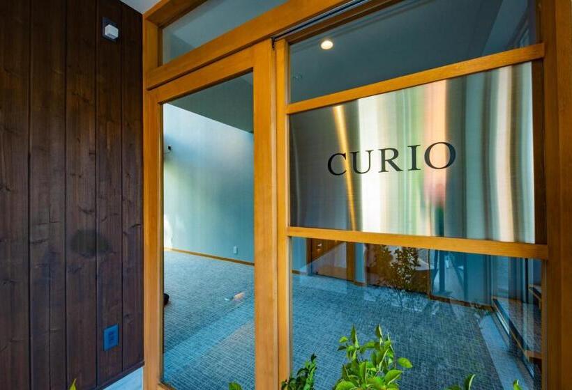 בית מלון כפרי Curio Shirakawago