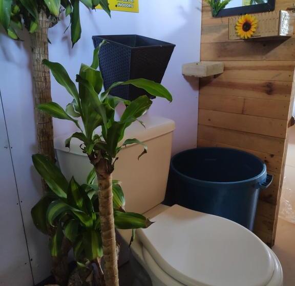 הוסטל Baru Jet Set Beach & Hostal