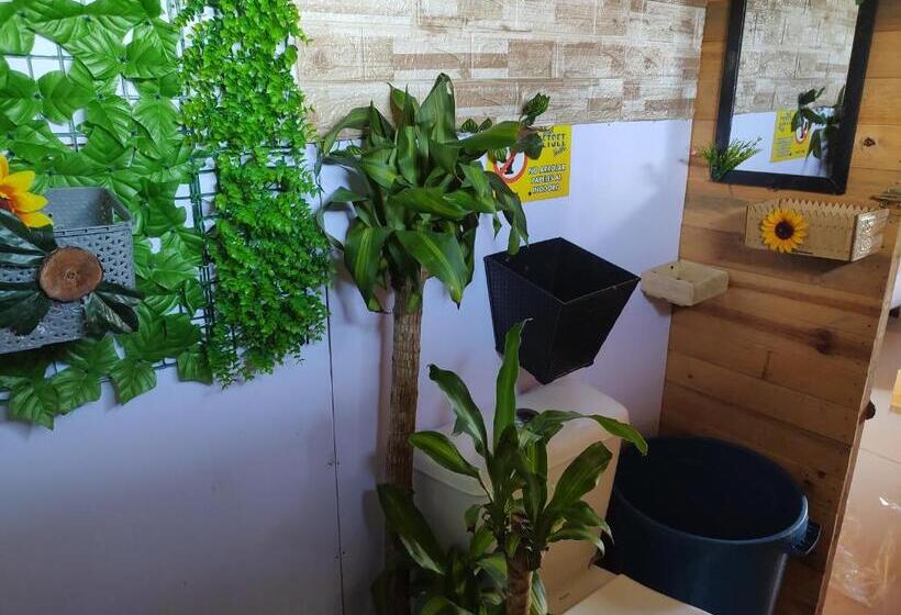 הוסטל Baru Jet Set Beach & Hostal