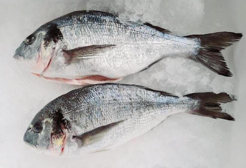 בית מלון כפרי Kaštieľ Ottlýk