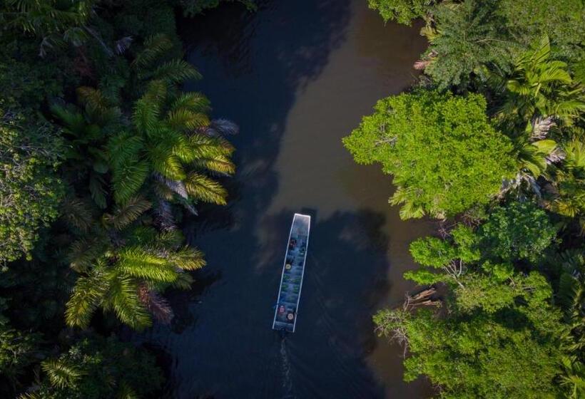 Отель Serendipity