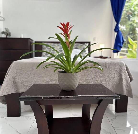 Отель Serendipity