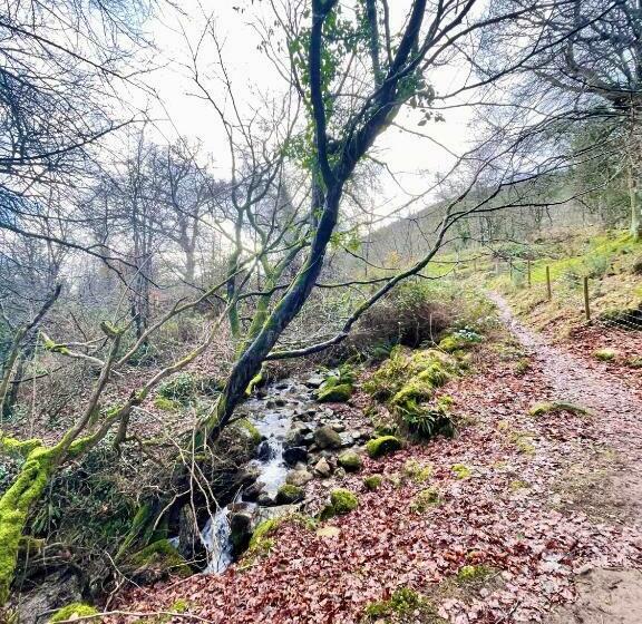 Пансион Lismore House