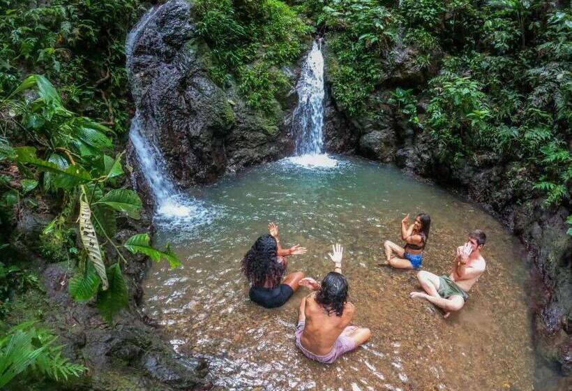日式旅馆 Chowa Lodge