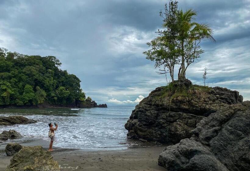 日式旅馆 Chowa Lodge