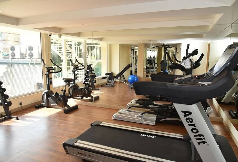 Effotel By Sayaji Vadodara