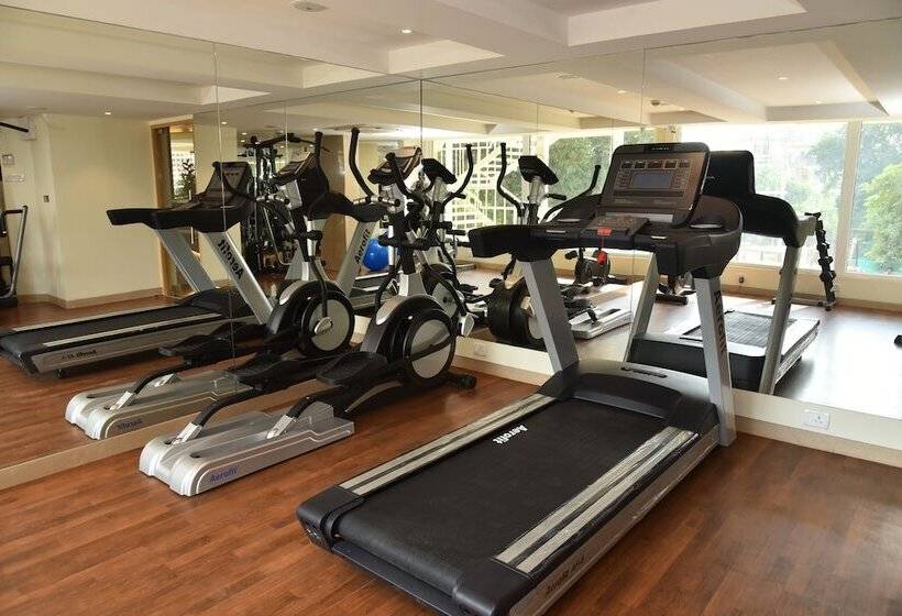 Effotel By Sayaji Vadodara