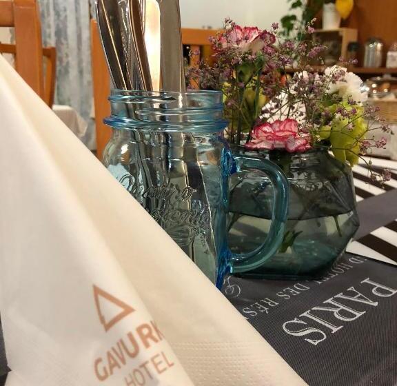 Garni Hotel Gavurky