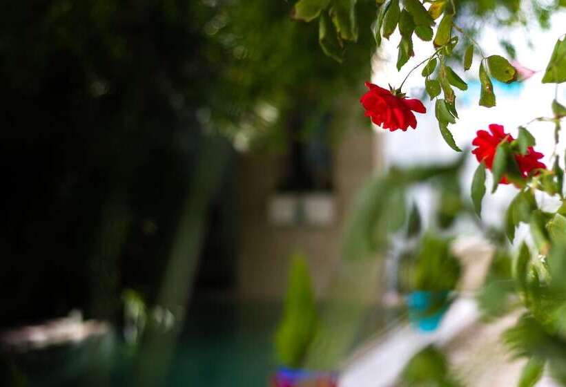 Granados Palacio Hotel Boutique