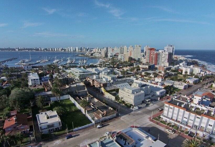 هتل Atlantico Boutique