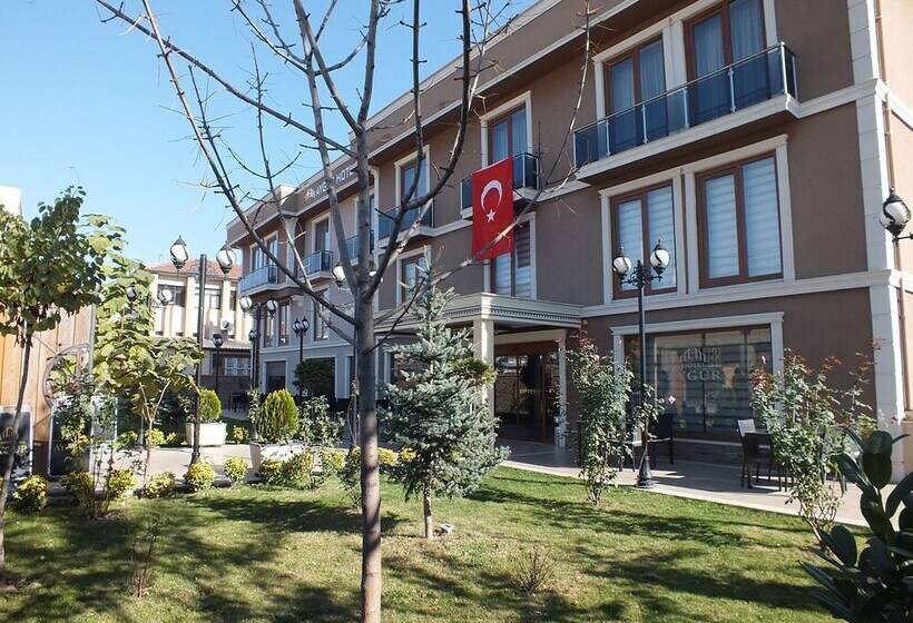 فندق Aygur