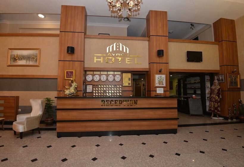 فندق Aygur