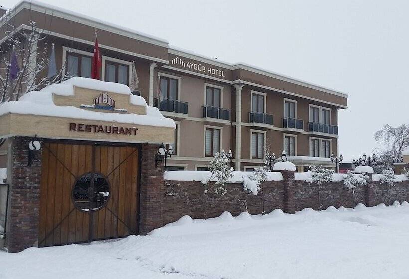 فندق Aygur
