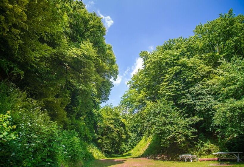 هتل Berberys Park