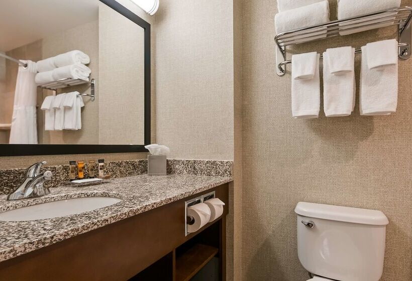 فندق Best Western Plus Service Inn & Suites