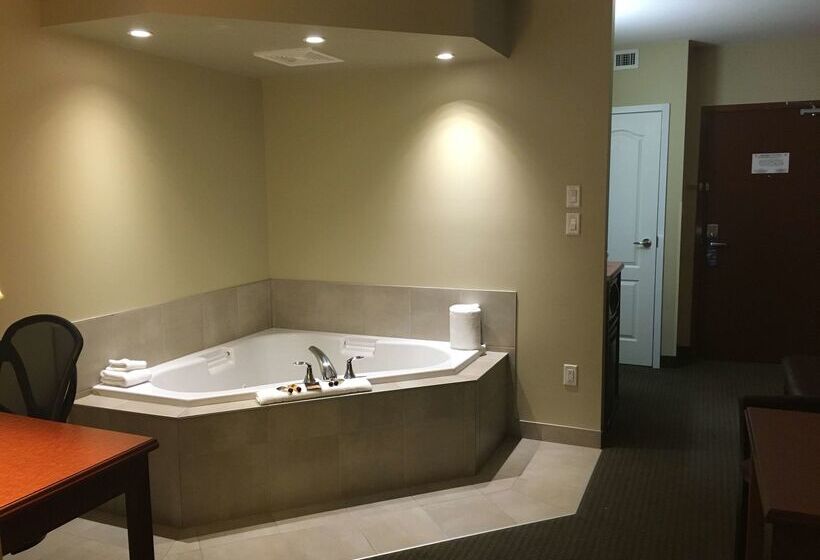 فندق Best Western Plus Service Inn & Suites