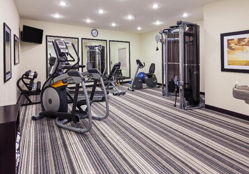 酒店 Candlewood Suites San Angelo, An Ihg