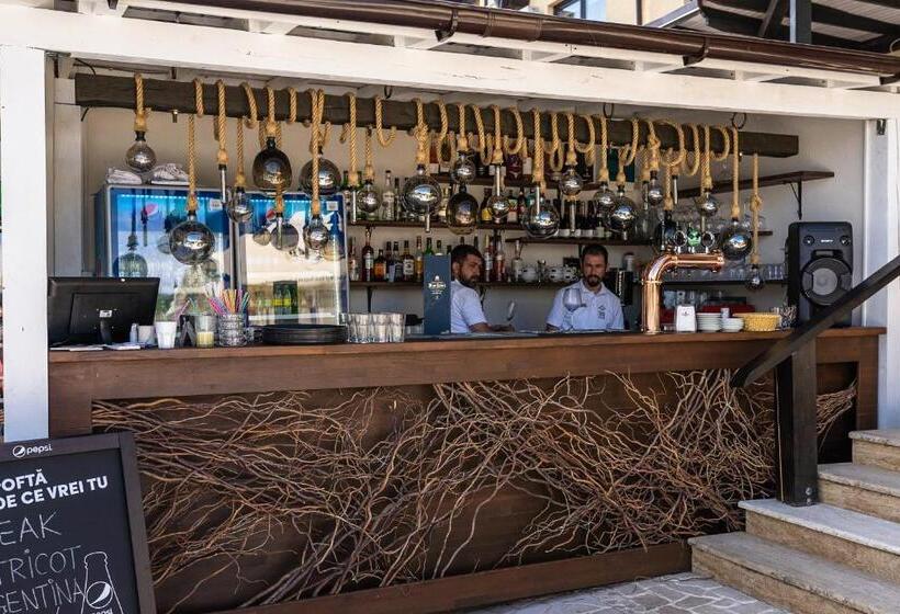 Отель Conacul Archia