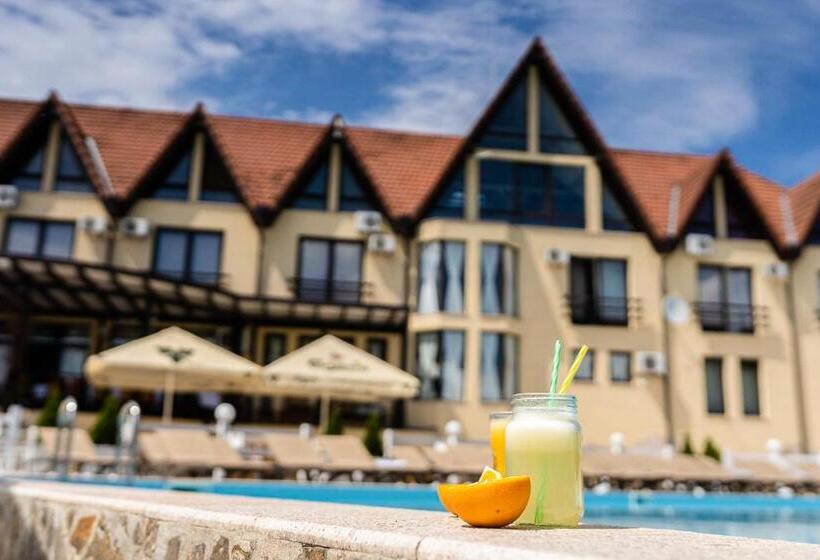 Отель Conacul Archia