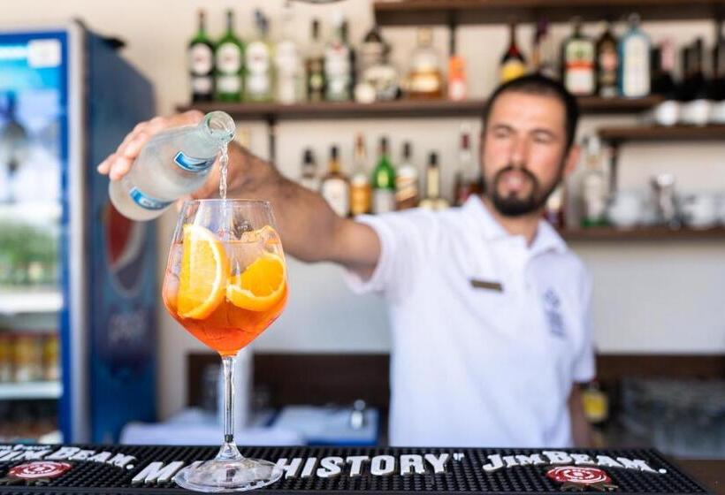 ホテル Conacul Archia