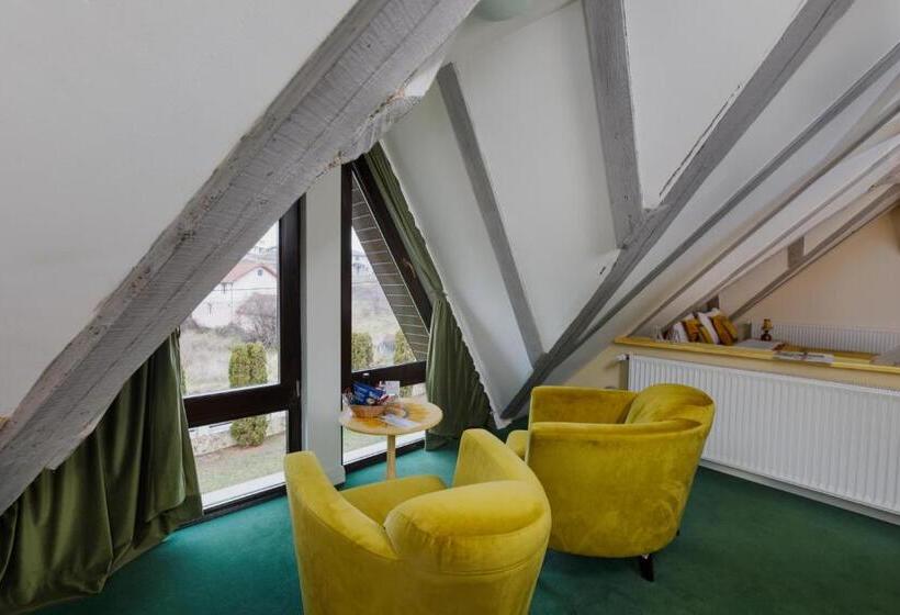 ホテル Conacul Archia