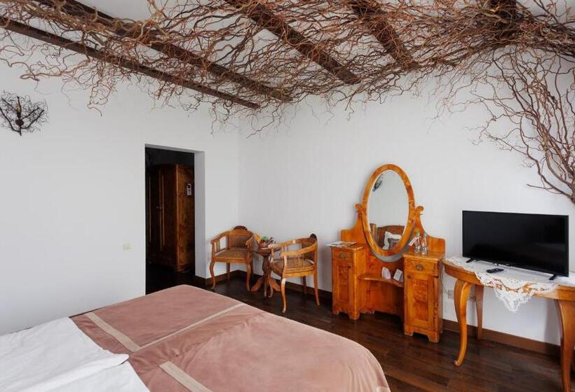 ホテル Conacul Archia