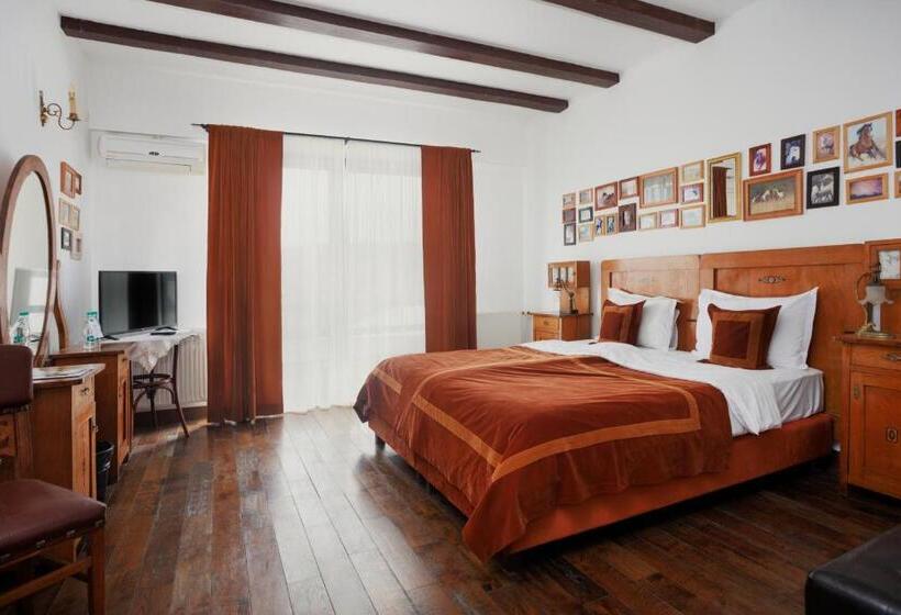 ホテル Conacul Archia